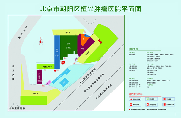 操逼插入视频北京市朝阳区桓兴肿瘤医院平面图